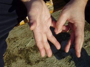 mudra Zivotnog stuba