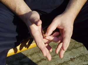 mudra pročišćenja