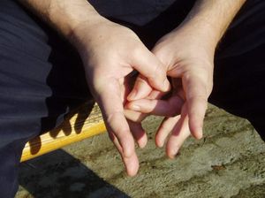 mudra pročišćenja