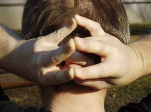 mudra pročišćenja