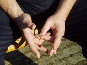 mudra osveščivanja uma