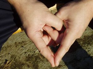 mudra osveščivanja uma