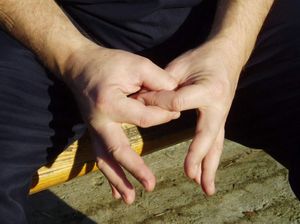 mudra sazrevanja Duše (mudra duhovnog srca)