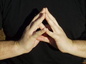 mudra sazrevanja Duše (mudra duhovnog srca)