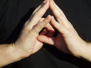 mudra sazrevanja Duše (mudra duhovnog srca)